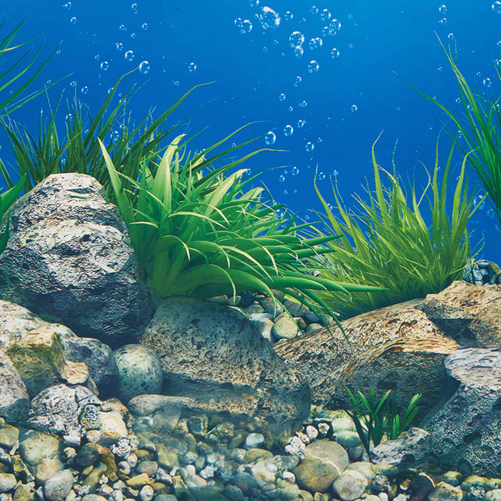 Aquarium Fish Wallpaper Hd - AB33-Аквариум Фоновая бумага HD Картина 7D