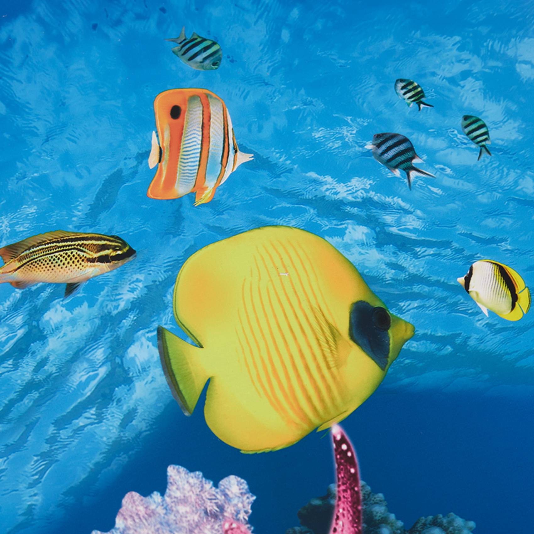 Aquarium Fish Wallpaper Hd - BAAU аквариум фон бумага HD картина