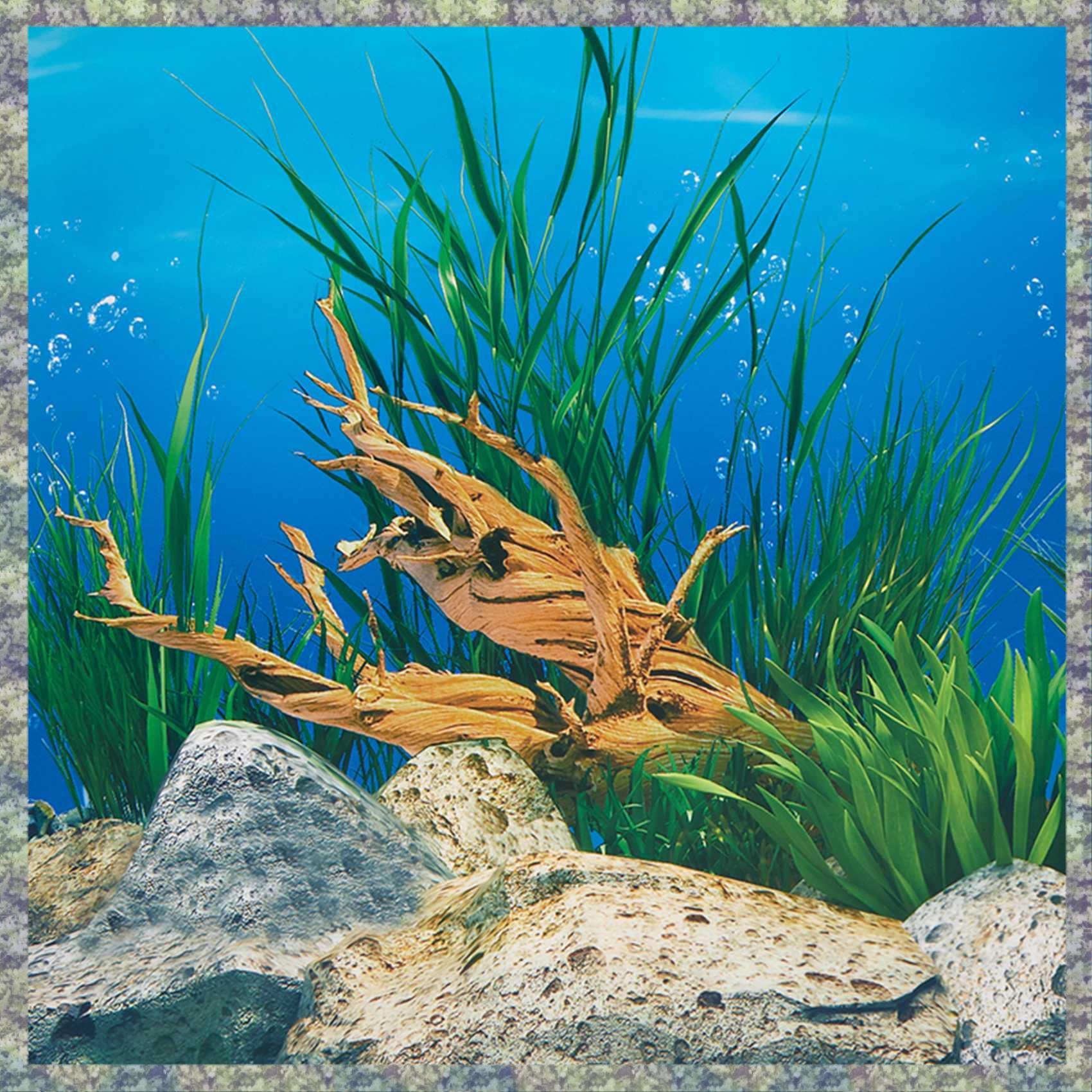 Aquarium Fish Wallpaper Hd - WON фон для аквариума, бумага HD