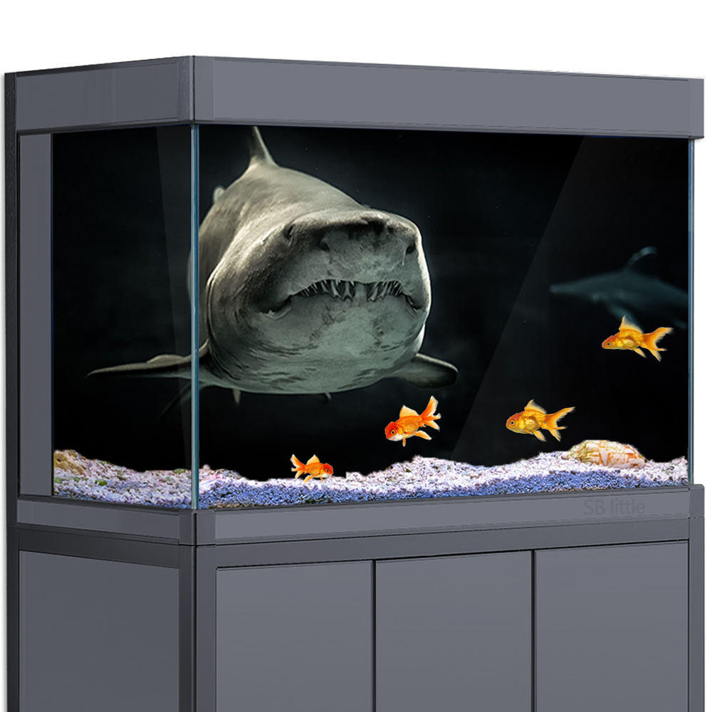 Aquarium Fish Wallpaper Hd - Фон для аквариума 3D акула черный