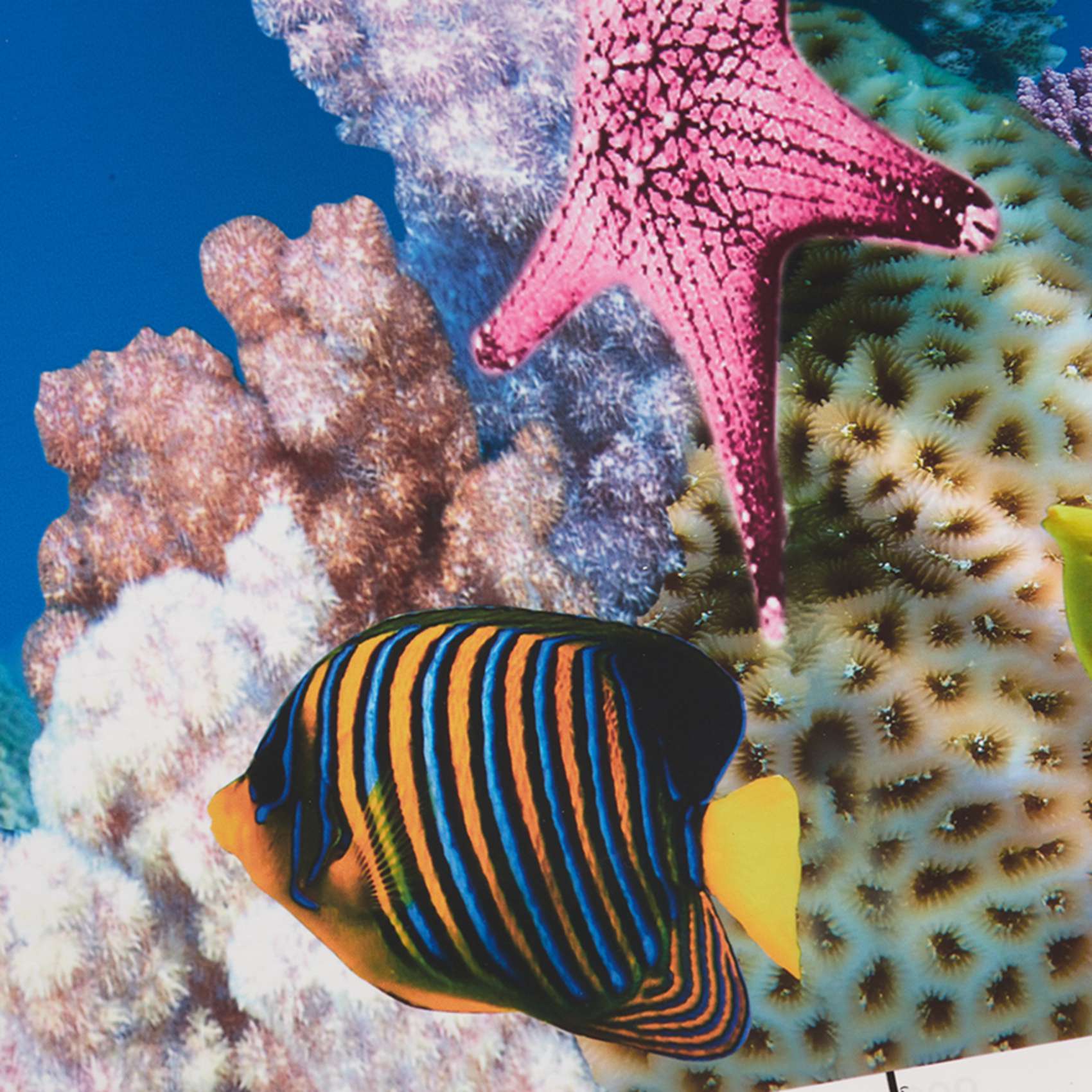Бумага для аквариумного фона A – обзор и цена Aquarium Fish Wallpaper Hd