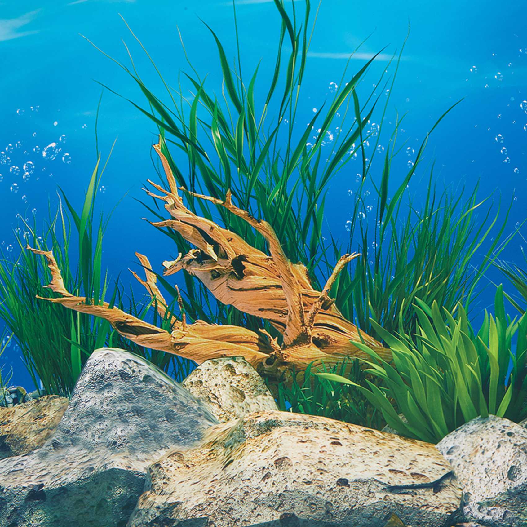 Бумага для аквариумного фона A – обзор и цена Aquarium Fish Wallpaper Hd