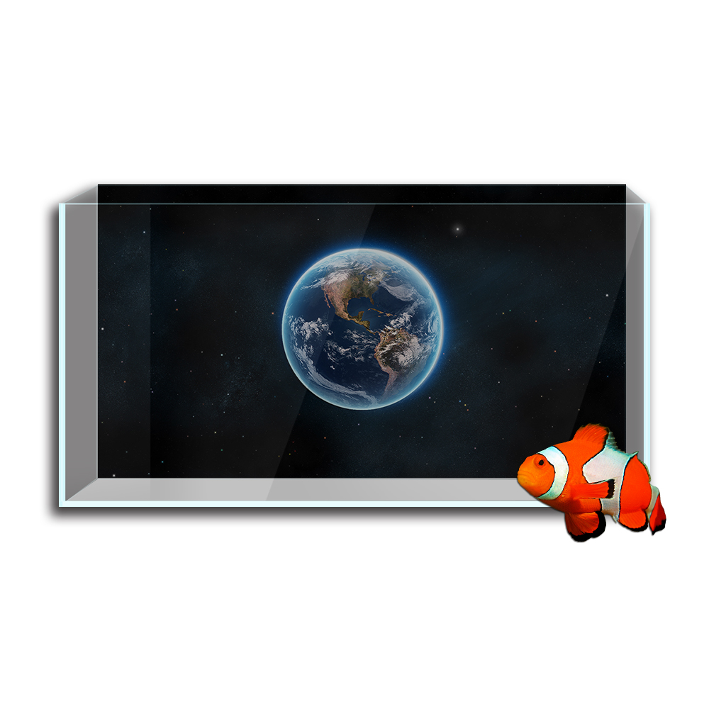 Аквариумный аквариумный фон-на – обзор и цена Aquarium Fish Wallpaper Hd