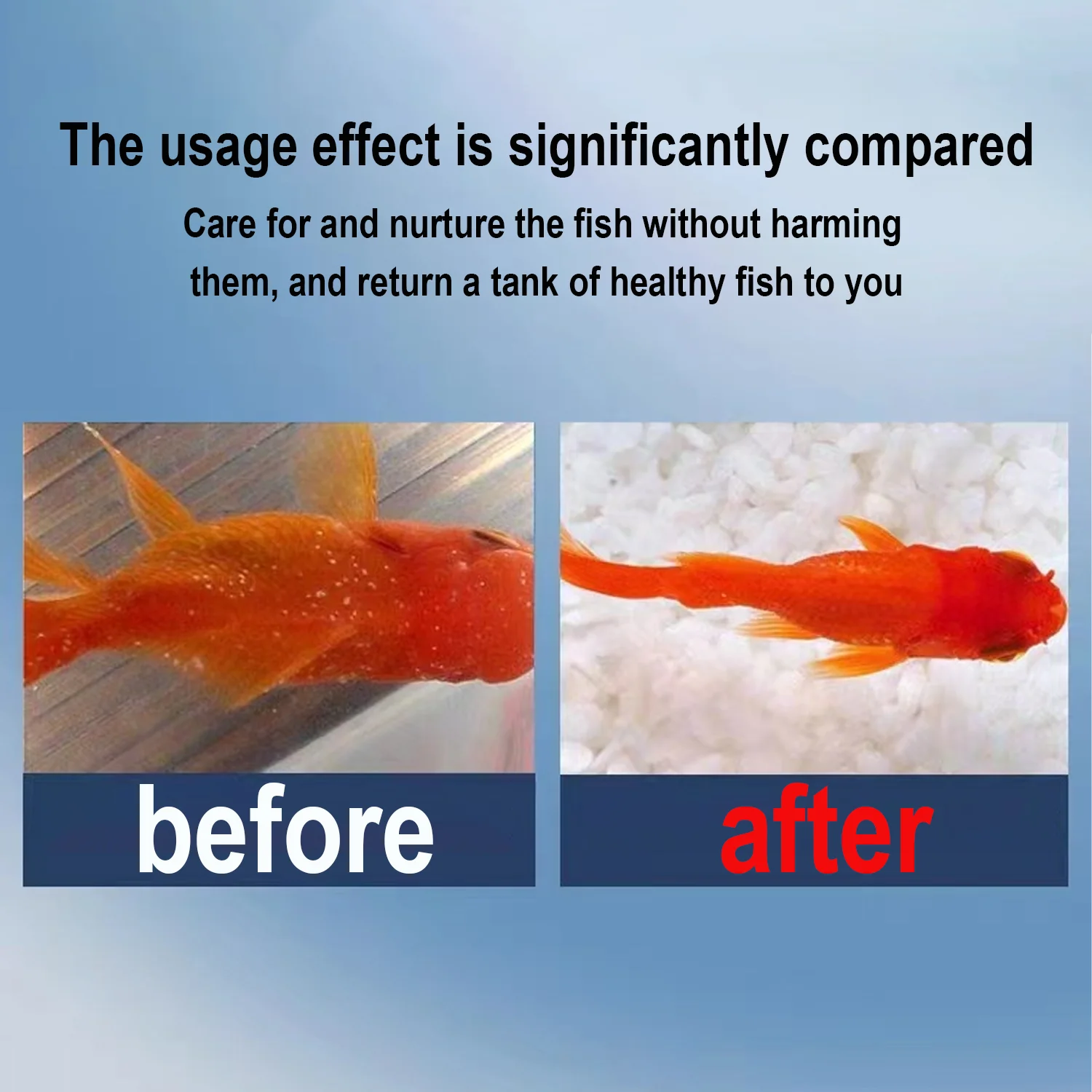 Премиум-медицин, лечение голуб – обзор и цена Aquarium Fish Medicine
