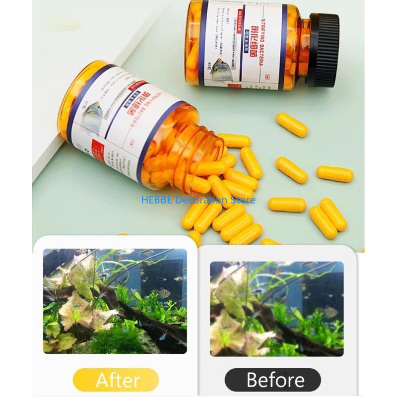 B0KC 30/80 PCS Нитрифицирующие – обзор и цена Aquarium Fish Medicine