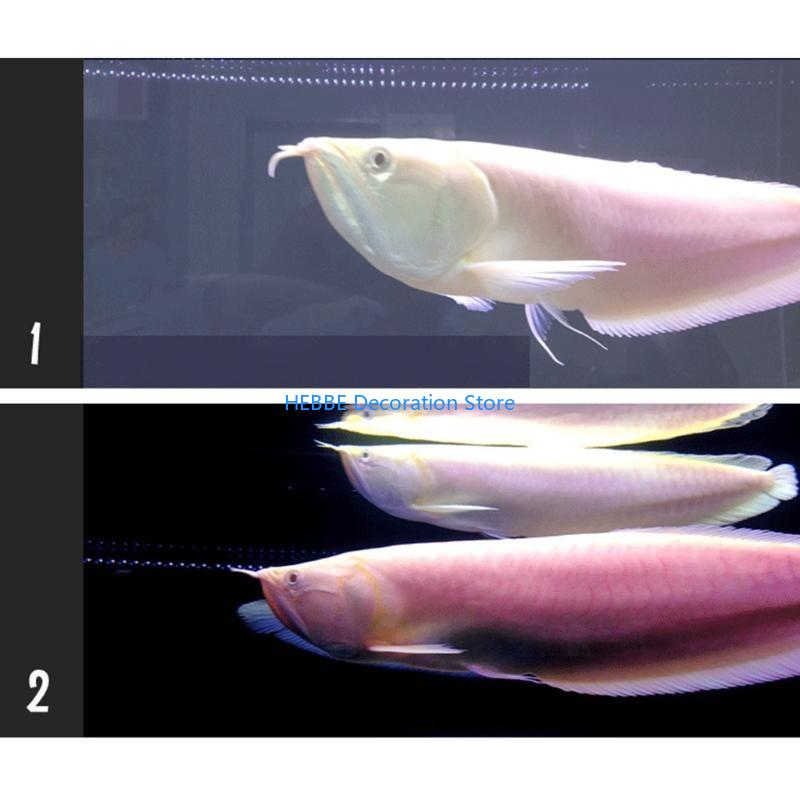 B0KC 30/80 PCS Нитрифицирующие – обзор и цена Aquarium Fish Medicine