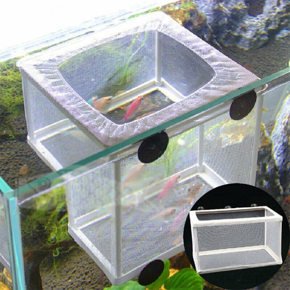 Коробка для разведения аквариу – обзор и цена Aquarium Fish Medicine