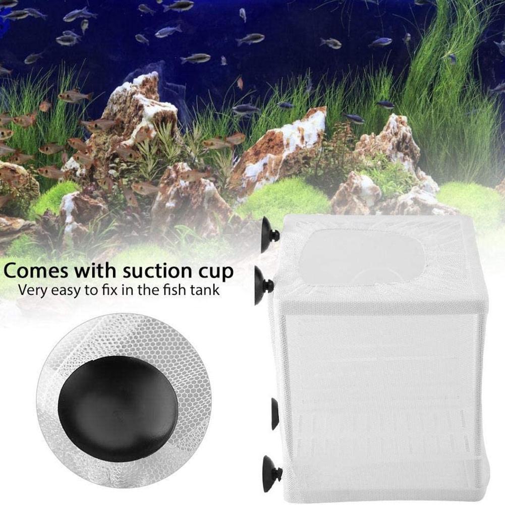 Коробка для разведения аквариу – обзор и цена Aquarium Fish Medicine