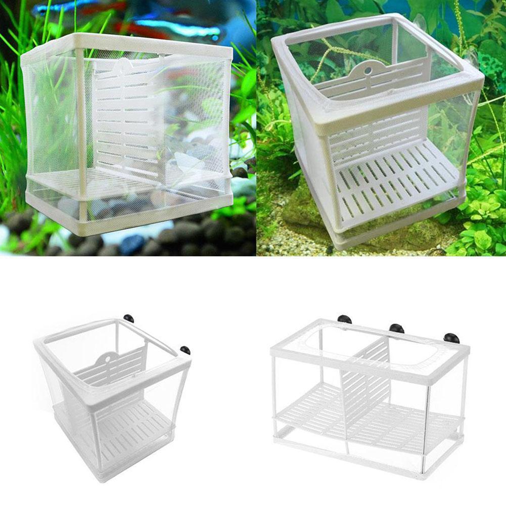 Коробка для разведения аквариу – обзор и цена Aquarium Fish Medicine