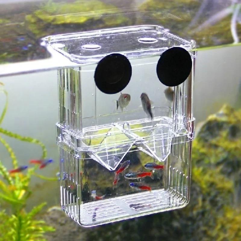 Прозрачный аквариум для рыб, в – обзор и цена Aquarium Fish Medicine
