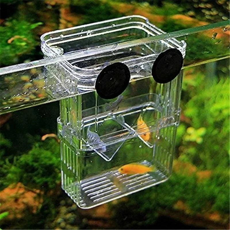 Прозрачный аквариум для рыб, в – обзор и цена Aquarium Fish Medicine