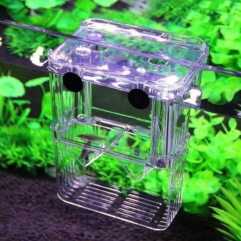 Прозрачный аквариум для рыб, в – обзор и цена Aquarium Fish Medicine