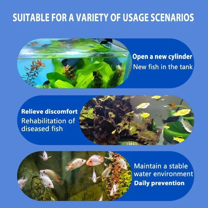 SIKEZHAN Лечение и нитрифициру – обзор и цена Aquarium Fish Saltwater