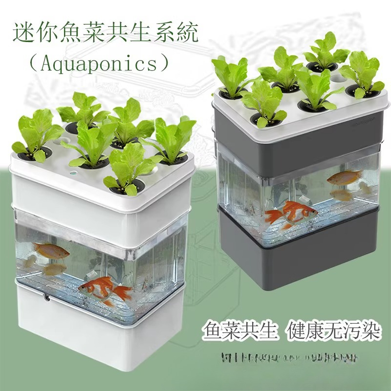 Экспортный аквариум мелкой эко – обзор и цена Aquarium Fish Exporter