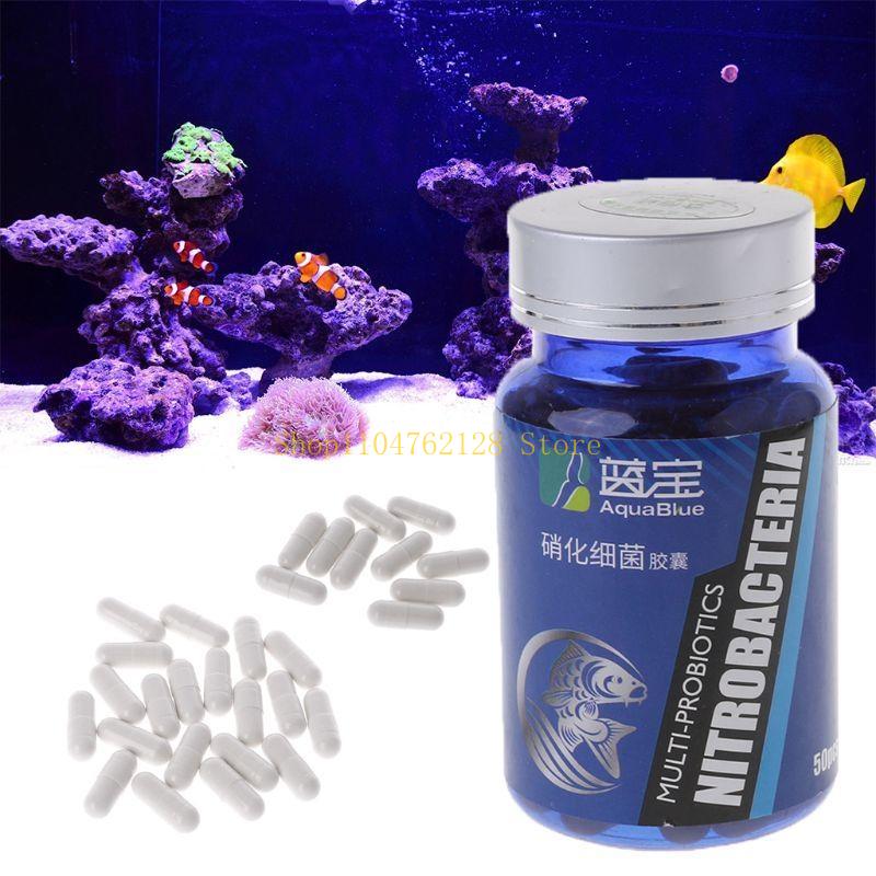 Капсулы с нитрифицирующими бак – обзор и цена Aquarium Fish Medicine
