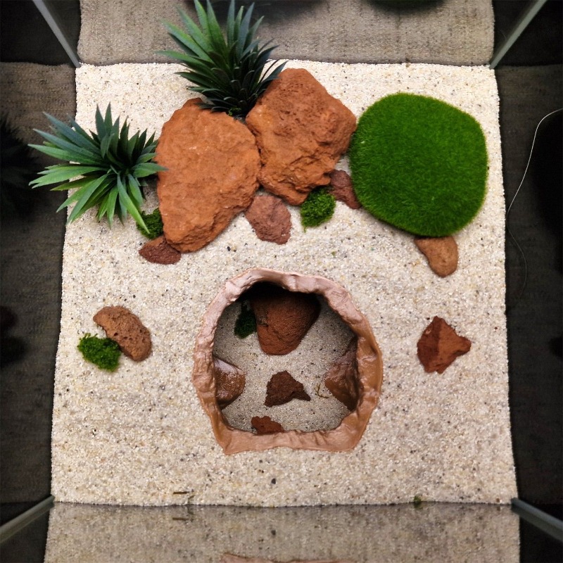 Аквариумный орнамент Sinkhole  – обзор и цена Aquarium Fish Marine