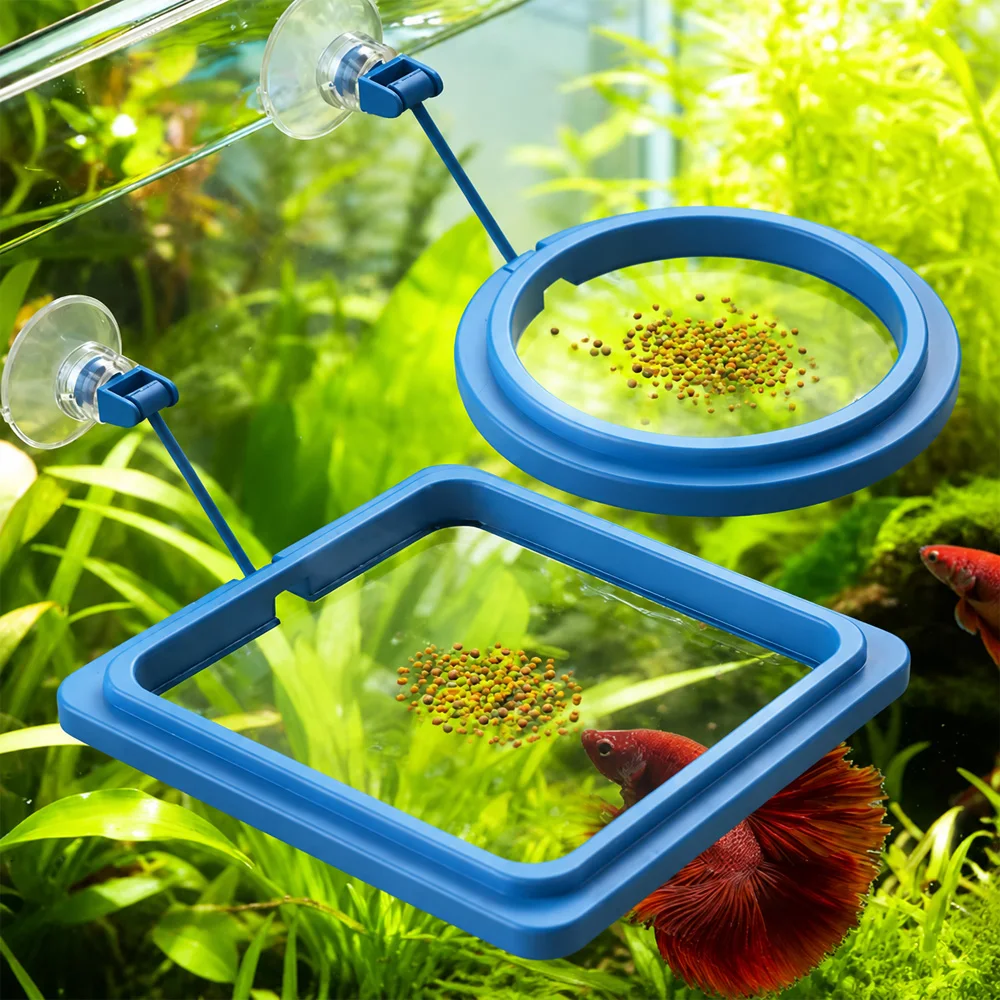 Корм для рыбок Бетта, плавающи – обзор и цена Aquarium Fish Medicine