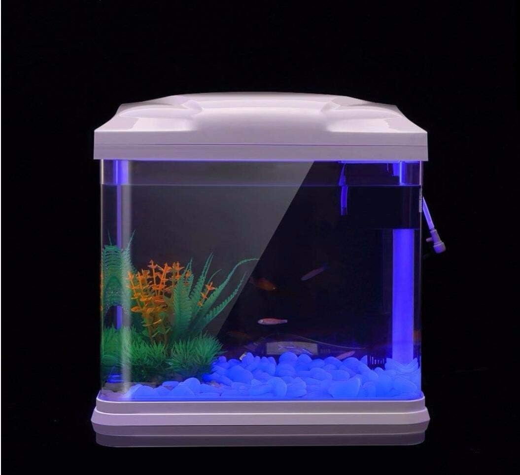 Скели для аквариума, светящиес – обзор и цена Aquarium Fish Farm