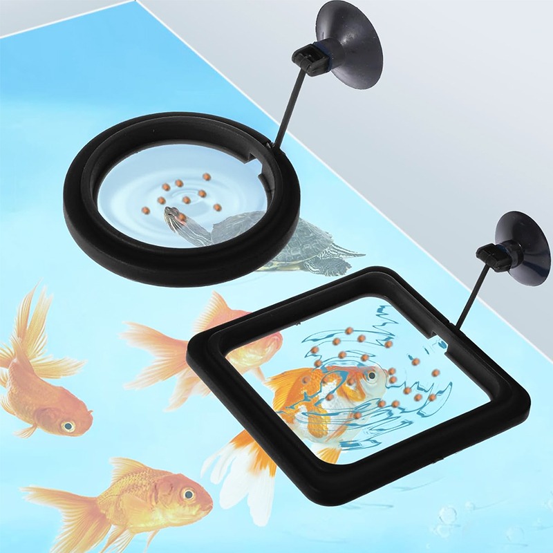 Кольцевая подставка для кормле – обзор и цена Aquarium Fish Medicine