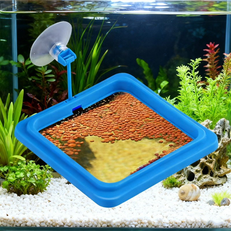 Кольцевая подставка для кормле – обзор и цена Aquarium Fish Medicine