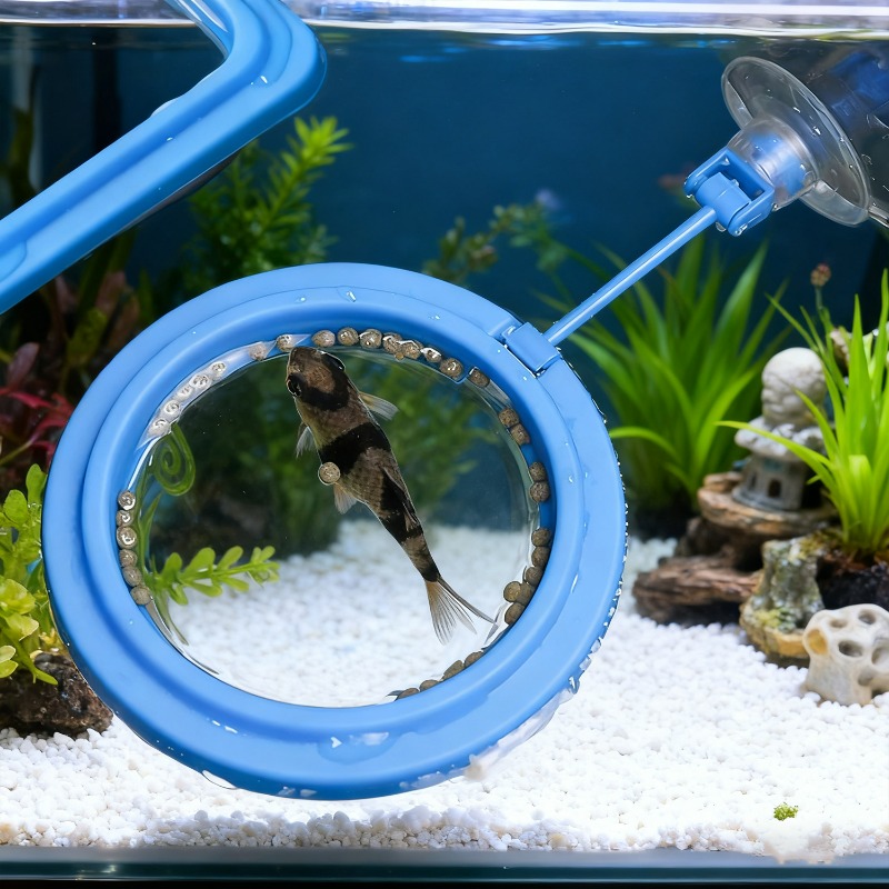 Кольцевая подставка для кормле – обзор и цена Aquarium Fish Medicine