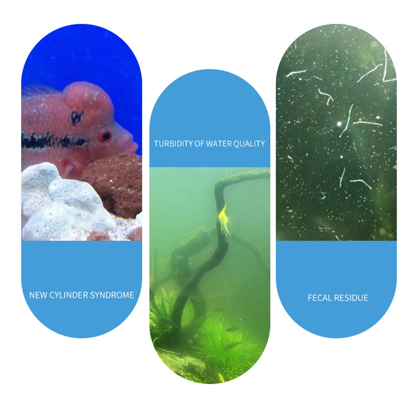 Аквариумный нитробактериальный – обзор и цена Aquarium Fish Medicine