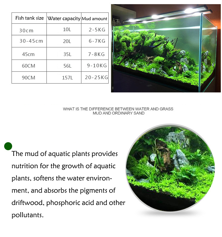 Семена аквариумных растений, п – обзор и цена Aquarium Fish Farm