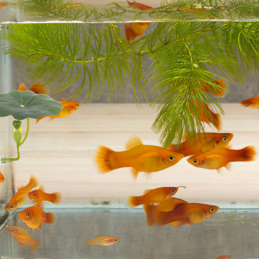 2 шт. искусственных листьев ло – обзор и цена Aquarium Fish Hiding Spot