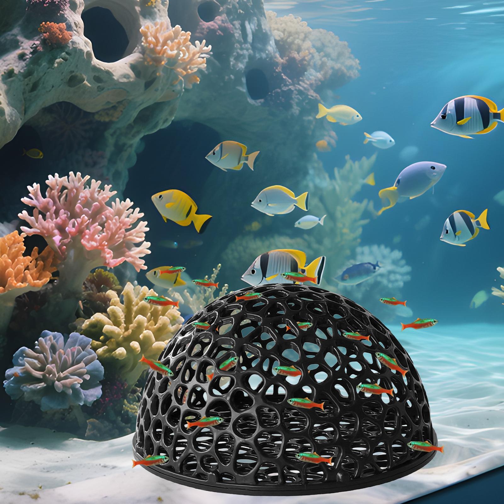 Домик-пещера для аквариумных к – обзор и цена Aquarium Fish Hiding Spot