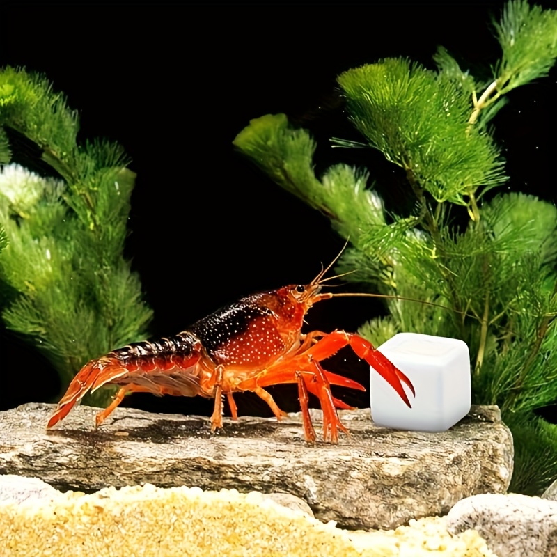 6 шт., аквариум, кальциевый бл – обзор и цена Aquarium Fish Lego