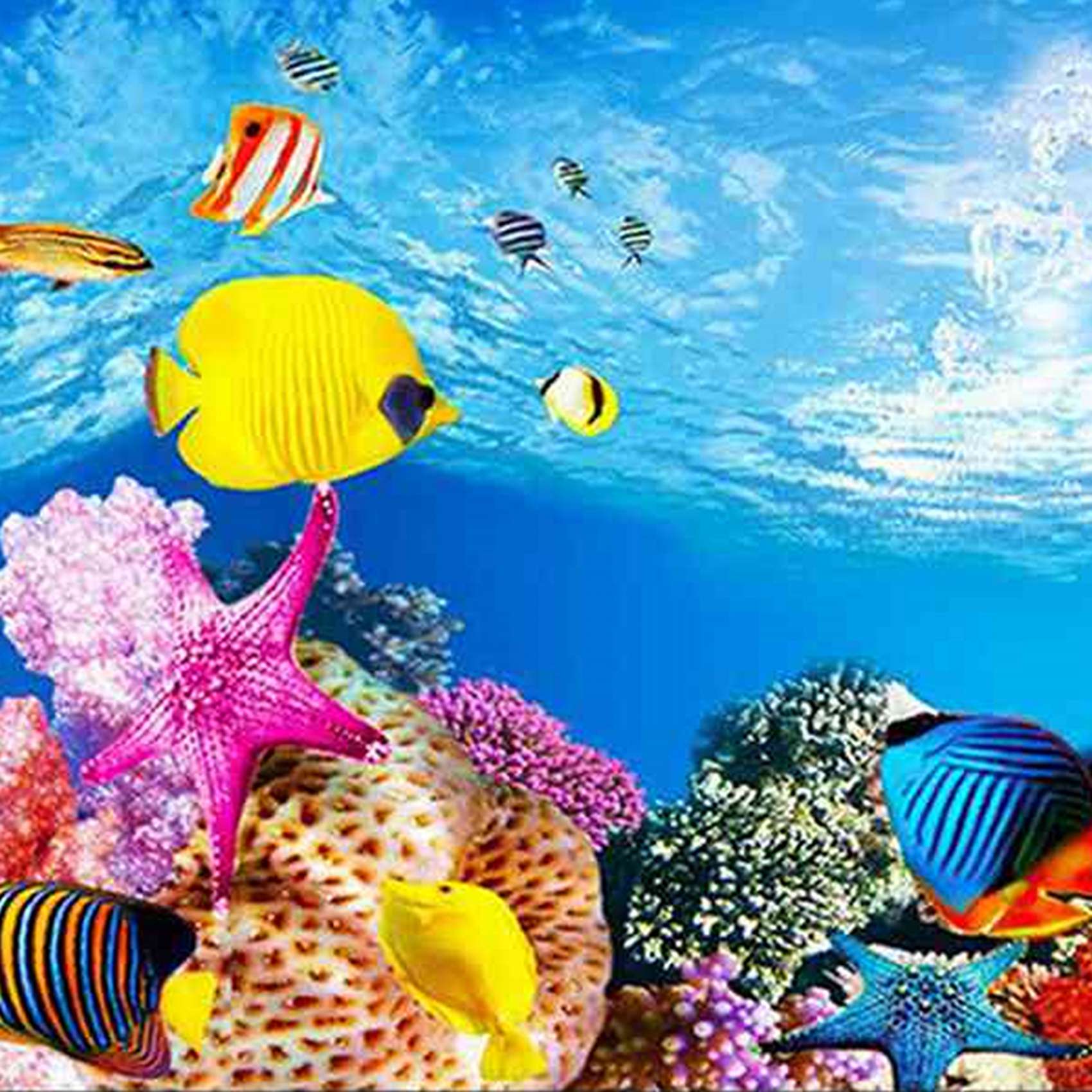 Бумага для аквариумного фона A – обзор и цена Aquarium Fish Wallpaper Hd